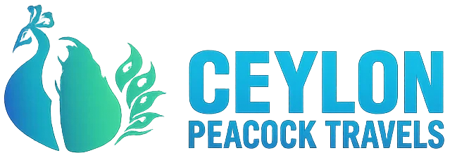 e16c4dcb-5fc3-43b0-8e71-4166a78e5ed9