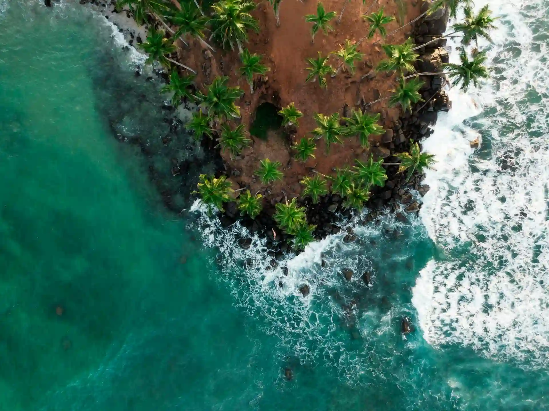 Ceylon Peacock Travels