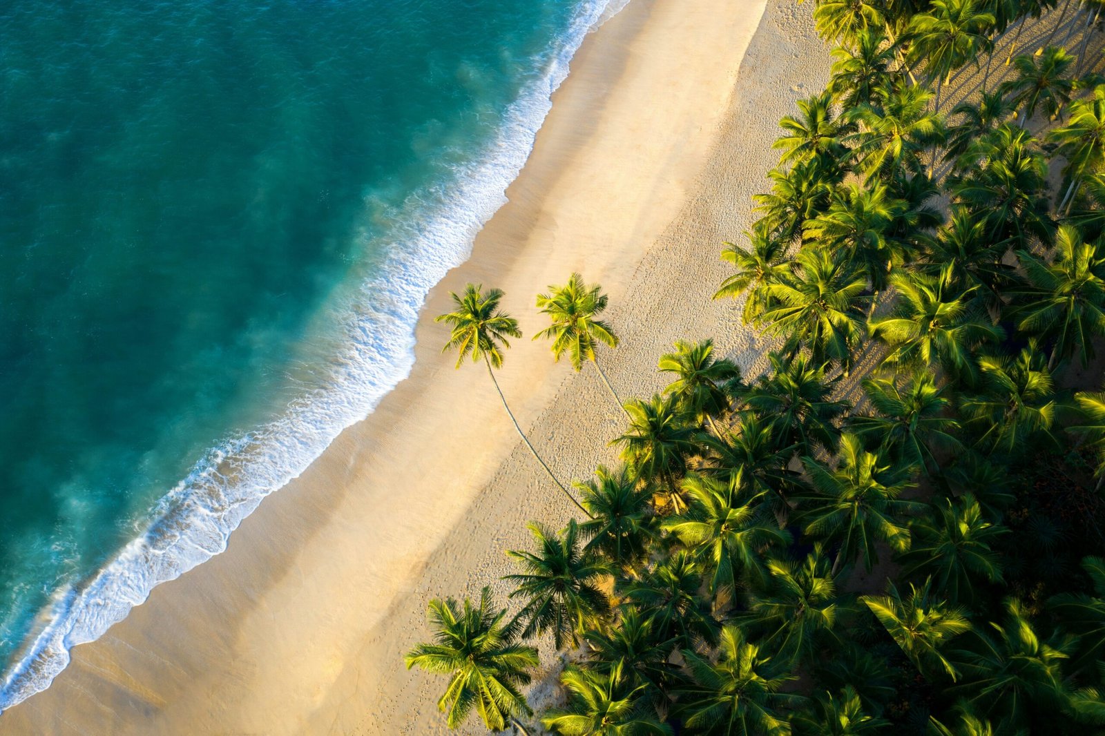 amal-prasad-ztFkvmLKTcY-unsplash