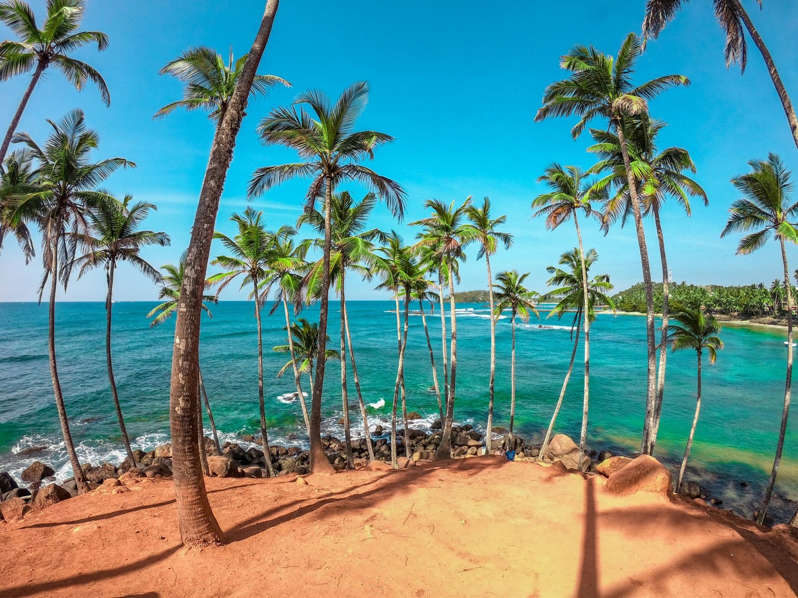 dinuka-lankaloka-iduEaeBB_rQ-unsplash