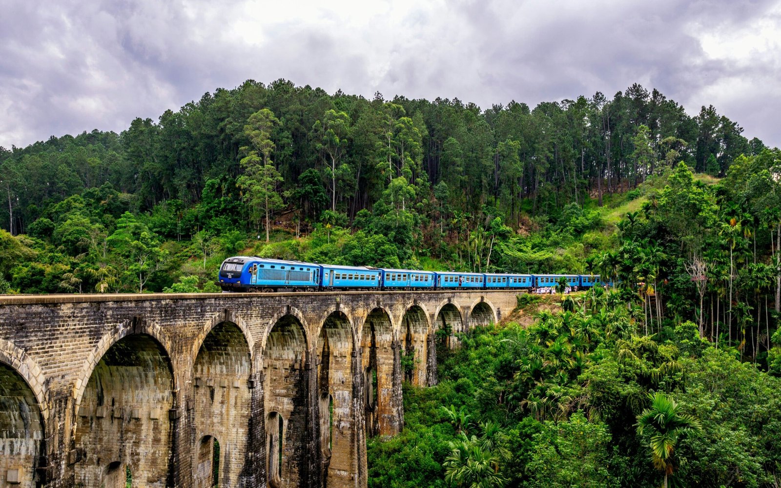 Zugfahrt durch Sri Lankas Teeberge im Hochland