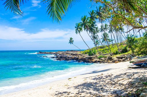 Beautiful tropical beach in Sri Lanka with palm trees, white sand, and turquoise ocean water