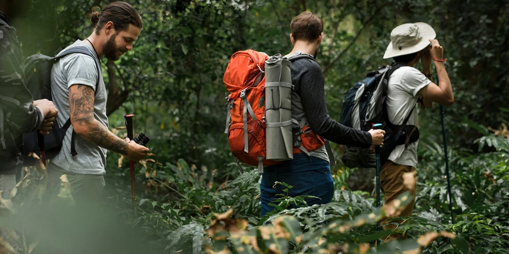 Guided rainforest trekking and forest lifestyle demonstration experience in Sri Lanka