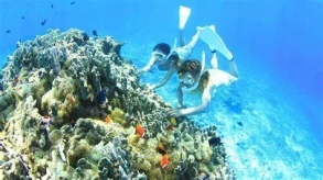 Snorkelling above colorful coral reefs and tropical fish at Hikkaduwa Marine Sanctuary in Sri Lanka.