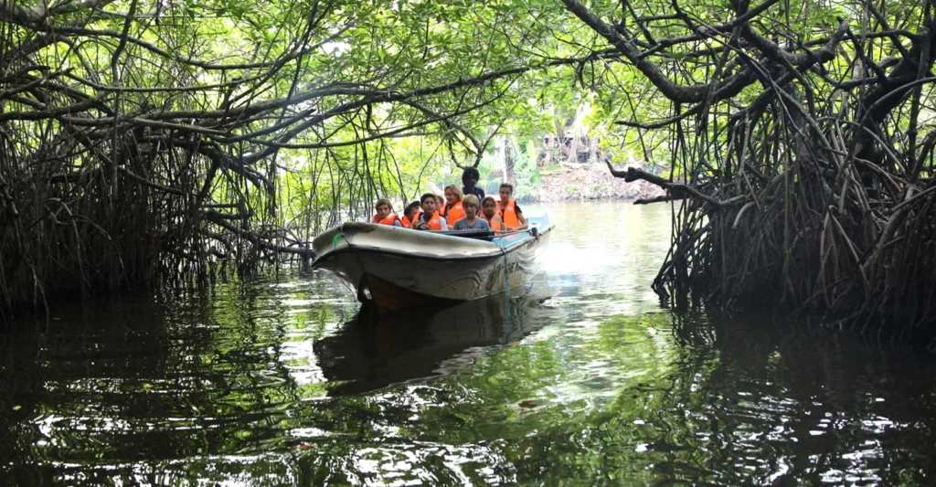 Tourists on a Madu River boat safari exploring mangrove forests in Balapitiya, Sri Lanka