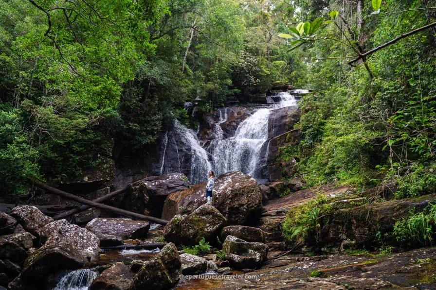 Hidden waterfall inside Sinharaja Rainforest UNESCO World Heritage Site in Sri Lanka.