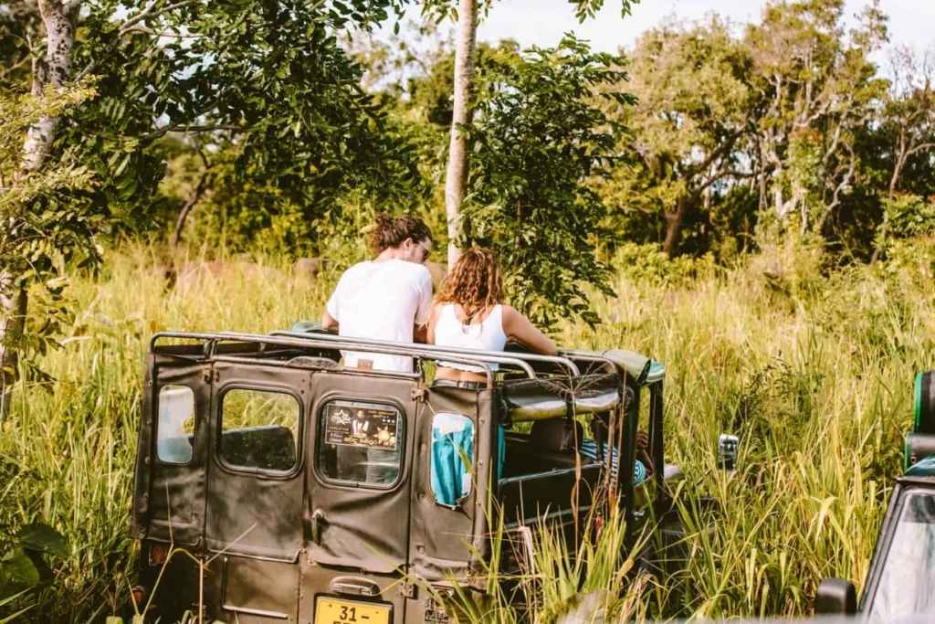 Tourists on a jeep safari in Sri Lanka searching for wildlife in a national park