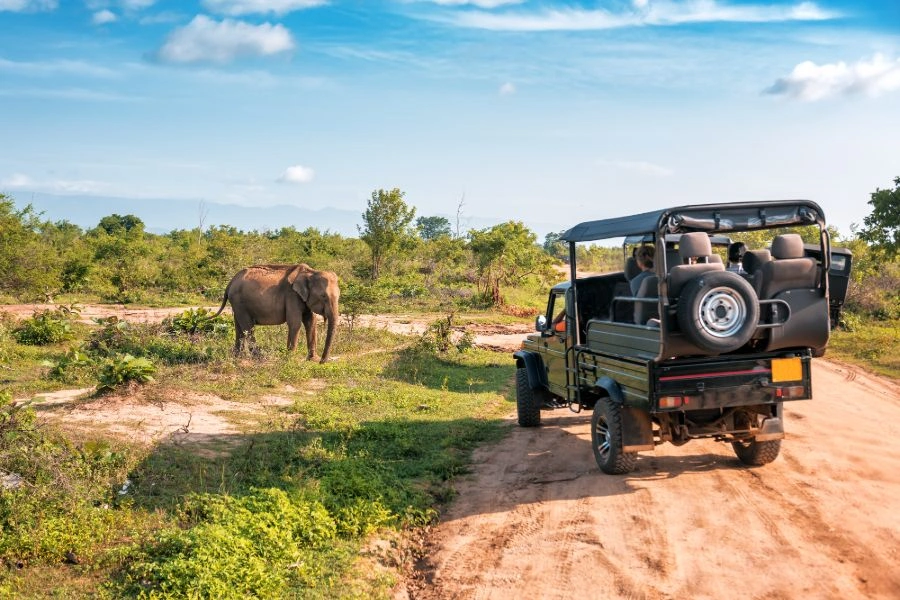 Family enjoying an elephant safari during a 13-day Sri Lanka family adventure.