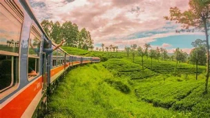 Scenic train ride from Nanu Oya to Ella through tea plantations and mountains in Sri Lanka.