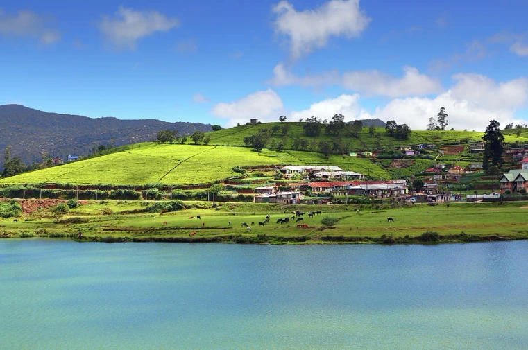 Gregory Lake in Nuwara Eliya surrounded by tea plantations, green hills, and scenic landscapes in Sri Lanka's hill country.