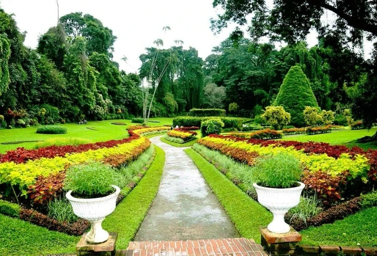 Royal Botanical Gardens Peradeniya near Kandy with colorful flower gardens, tropical plants, and landscaped walking paths in Sri Lanka.