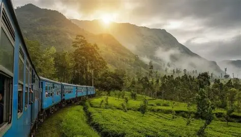 Blue passenger train winding through lush tea plantations and misty mountains near Nuwara Eliya, Sri Lanka.