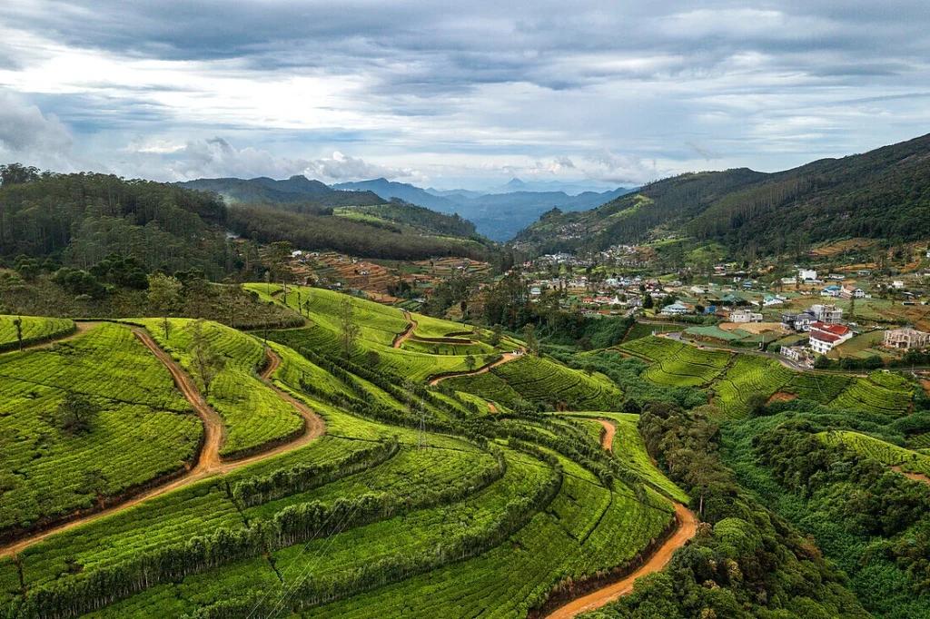 Panoramic view of rolling green tea plantations and mountain scenery around Nuwara Eliya in Sri Lanka’s central highlands.