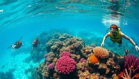 Snorkelling over colourful coral reefs at Pigeon Island National Park near Trincomalee, Sri Lanka