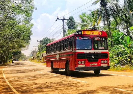 Red public bus travelling along a tropical roadside surrounded by palm trees and greenery in Sri Lanka.