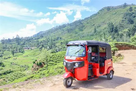 Red tuk-tuk parked beside lush green tea plantations in the scenic hill country of Sri Lanka.